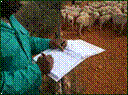 ThePicture07Manual.gif