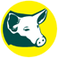 Pig Icon