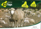 Order your sheep, goat, pig and Ostrich ID tags