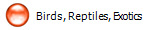 Birds, Reptiles, Exotics